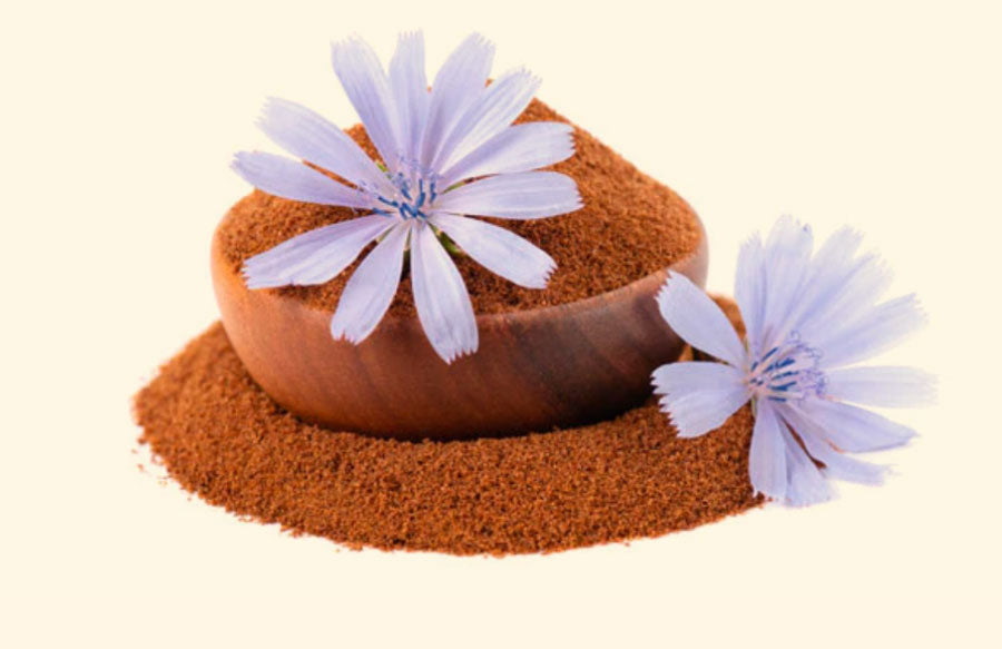 Superfoods: Chicory Root
